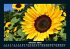 Blumenkalender 2025 Fotokalender DIN A5 - Bild 3