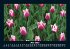 Blumenkalender 2025 Fotokalender DIN A5 - Bild 10