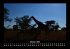 Giraffen 2025 Fotokalender DIN A3 - Bild 3