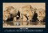 Löwen in der Wildnis 2025 Fotokalender... - Bild 7