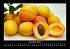 Obstkalender 2025 Fotokalender DIN A3 - Bild 5