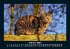 Für Katzenfreunde 2025 Fotokalender... - Bild 7