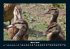 Enten 2025 Fotokalender DIN A4 - Bild 8