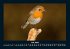 Vogelparadies 2025 Fotokalender DIN A4 - Bild 12