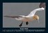 Vogelparadies 2025 Fotokalender DIN A5 - Bild 13