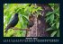 Vogelparadies 2025 Fotokalender DIN A5 - Bild 3