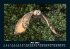 Vogelparadies 2025 Fotokalender DIN A5 - Bild 10