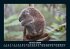 Koala 2025 Fotokalender DIN A5 - Bild 6