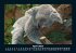 Koala 2025 Fotokalender DIN A5 - Bild 9