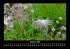 Bilder der Natur 2025 Fotokalender DIN... - Bild 3