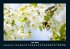 Blumenzauber 2025 Fotokalender DIN A4 - Bild 12