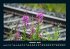 Blumenzauber 2025 Fotokalender DIN A4 - Bild 3
