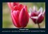 Blumenzauber 2025 Fotokalender DIN A4 - Bild 5