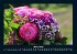 Blumenzauber 2025 Fotokalender DIN A4 - Bild 8