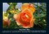 Blumenkalender 2025 Fotokalender DIN A5 - Bild 5