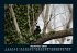 Bilder aus der Natur 2025 Fotokalender... - Bild 2