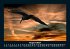 Bilder aus der Natur 2025 Fotokalender... - Bild 13