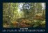 Bilder aus der Natur 2025 Fotokalender... - Bild 6
