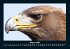 Vogelparadies 2025 Fotokalender DIN A4 - Bild 13