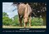 Die Welt der Pferde 2025 Fotokalender... - Bild 4