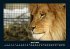 Welt der Tiere 2025 Fotokalender DIN A4 - Bild 9