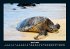 Schildkrötenzauber 2025 Fotokalender... - Bild 9