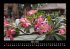 Pflanzen und Blüten 2025 Fotokalender... - Bild 8