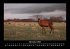 Naturlandschaften 2025 Fotokalender DIN... - Bild 4