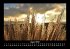 Bilder der Natur 2025 Fotokalender DIN... - Bild 13