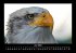 Adler 2025 Fotokalender DIN A3 - Bild 11