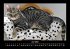 Für Katzenfreunde 2025 Fotokalender... - Bild 11