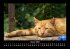 Für Katzenfreunde 2025 Fotokalender... - Bild 6
