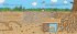 World of Mushrooms - Bild 2