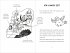 Die explosive Zeitreise mit der... - Bild 2