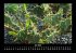 Naturlandschaften 2025 Fotokalender DIN... - Bild 12