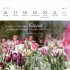 Mini-Wochenkalender 365 Tage Sonne im... - Bild 4