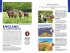 Lonely Planet England - Bild 3