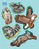 Animals of the Forest Sticker Poster - Bild 5