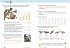 Das 10 Tage Ferienheft Mathematik 2 - Bild 3