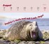 Mini-Wochenkalender 2026: Tierisch... - Bild 3