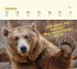 Mini-Wochenkalender 2026: Tierisch... - Bild 5