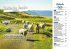 Reise Know-How Roadtrip Handbuch... - Bild 8