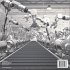 An Introduction to the Wonderful World... - Bild 2