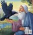 Elijah's Feathered Friends - Bild 2