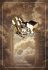 Crystal Healing Cards - 44 Karten mit... - Bild 8