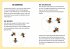 EcoPlay - Bienen - Bild 7
