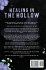 Healing in the Hollow - Bild 2