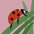 Bugs Buddy - Bild 2