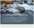 Der Lebensfreude-Inspirationen-Kalender... - Bild 4
