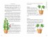 Cannabis - Bild 10